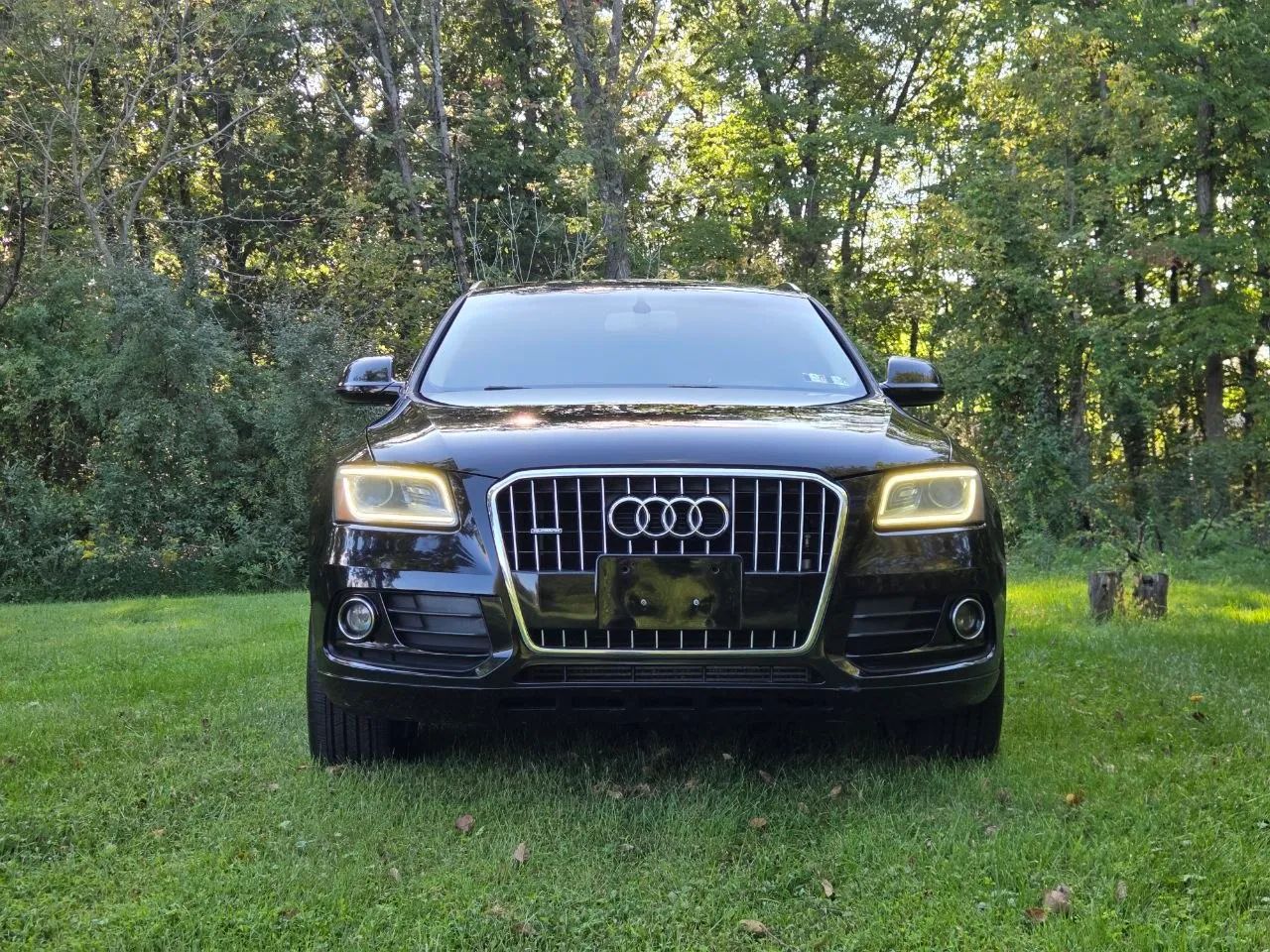 2016 Audi Q5 — photo 8 of 33