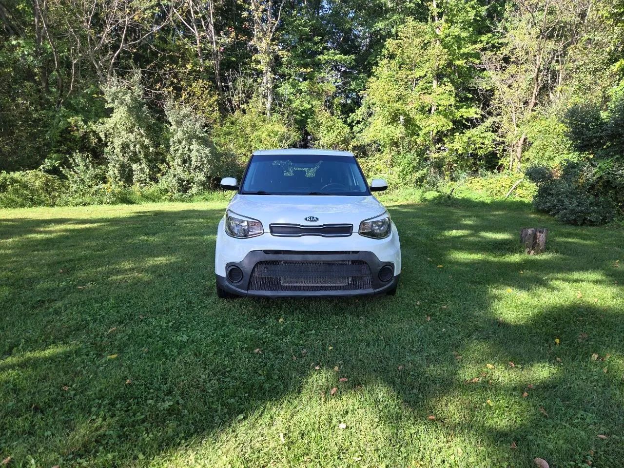 2017 Kia Soul — photo 13 of 30