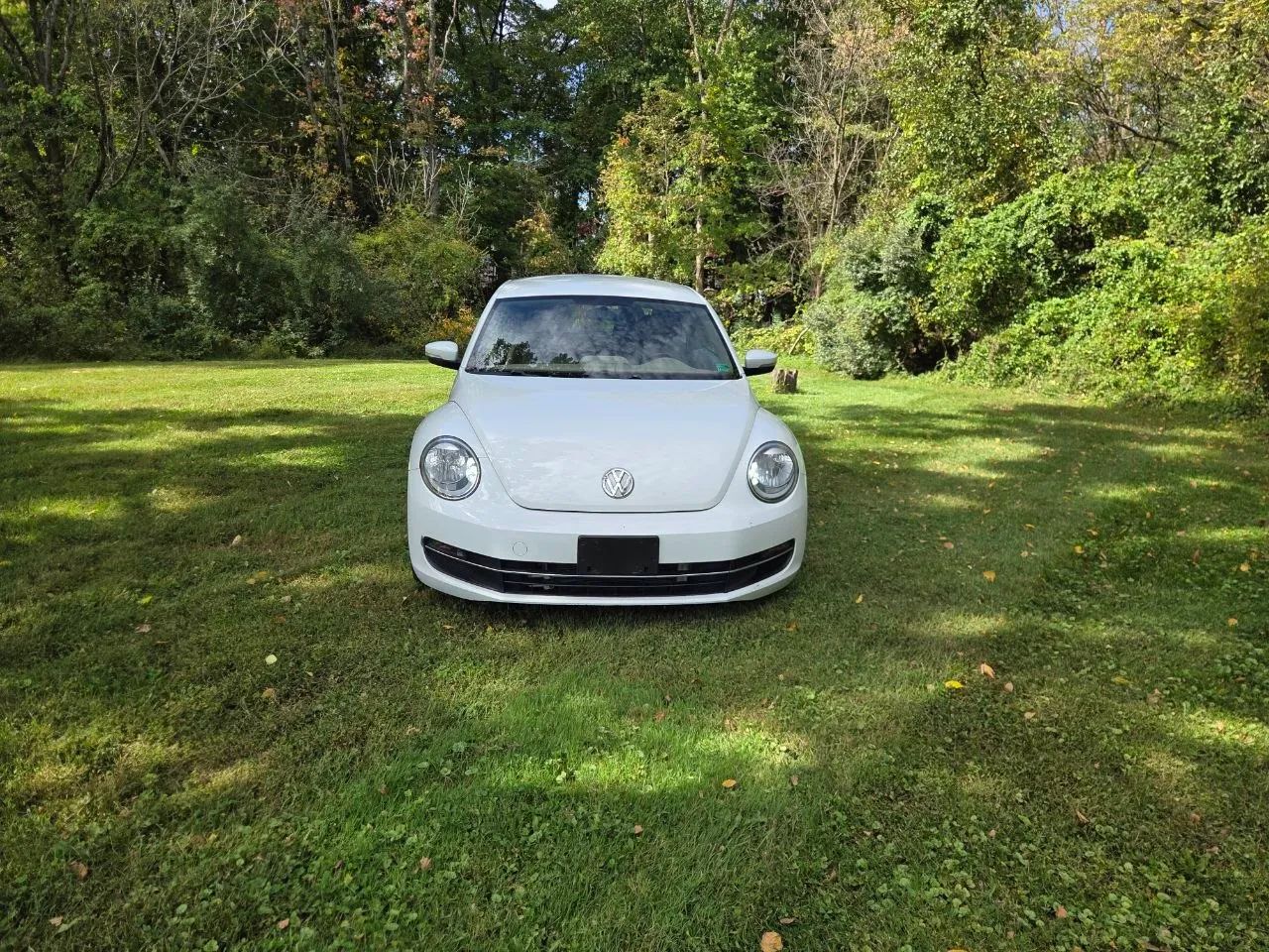 2015 Volkswagen Beetle — photo 9 of 30