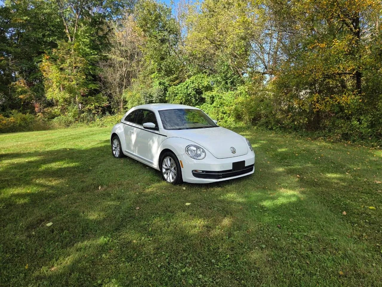 2015 Volkswagen Beetle — photo 2 of 30