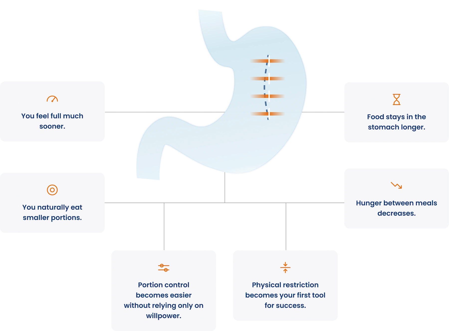 You feel full much sooner, Food stays in the stomach longer, You naturally eat smaller portions, Hunger between meals decreases, Portion control becomes easier without relying only on willpower, Physical restriction becomes your first tool for success