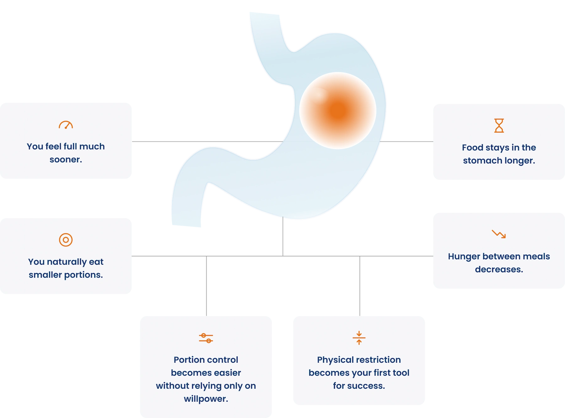 You feel full much sooner, Food stays in the stomach longer, You naturally eat smaller portions, Hunger between meals decreases, Portion control becomes easier without relying only on willpower, Physical restriction becomes your first tool for success