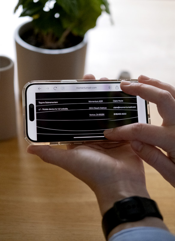 Momentum ADR project preview on the mobile phone that Ruta Dambrauskaite holds in her hand