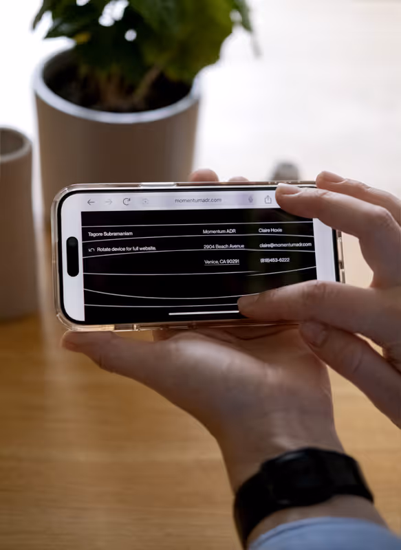 Momentum ADR project preview on the mobile phone that Ruta Dambrauskaite holds in her hand