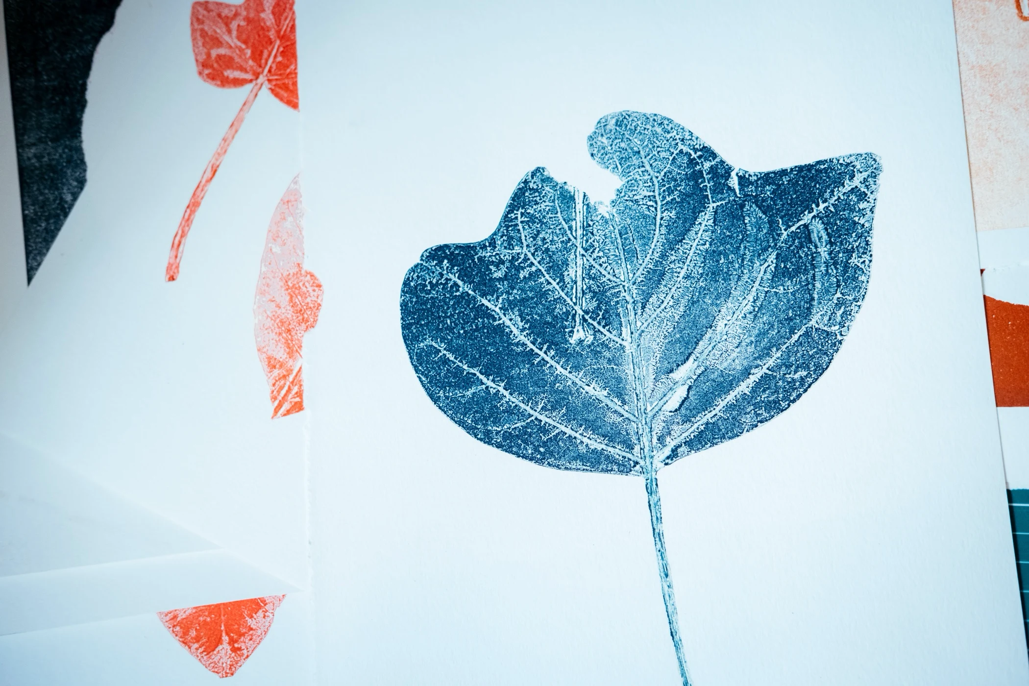 A picture of a leaf on a piece of paper
