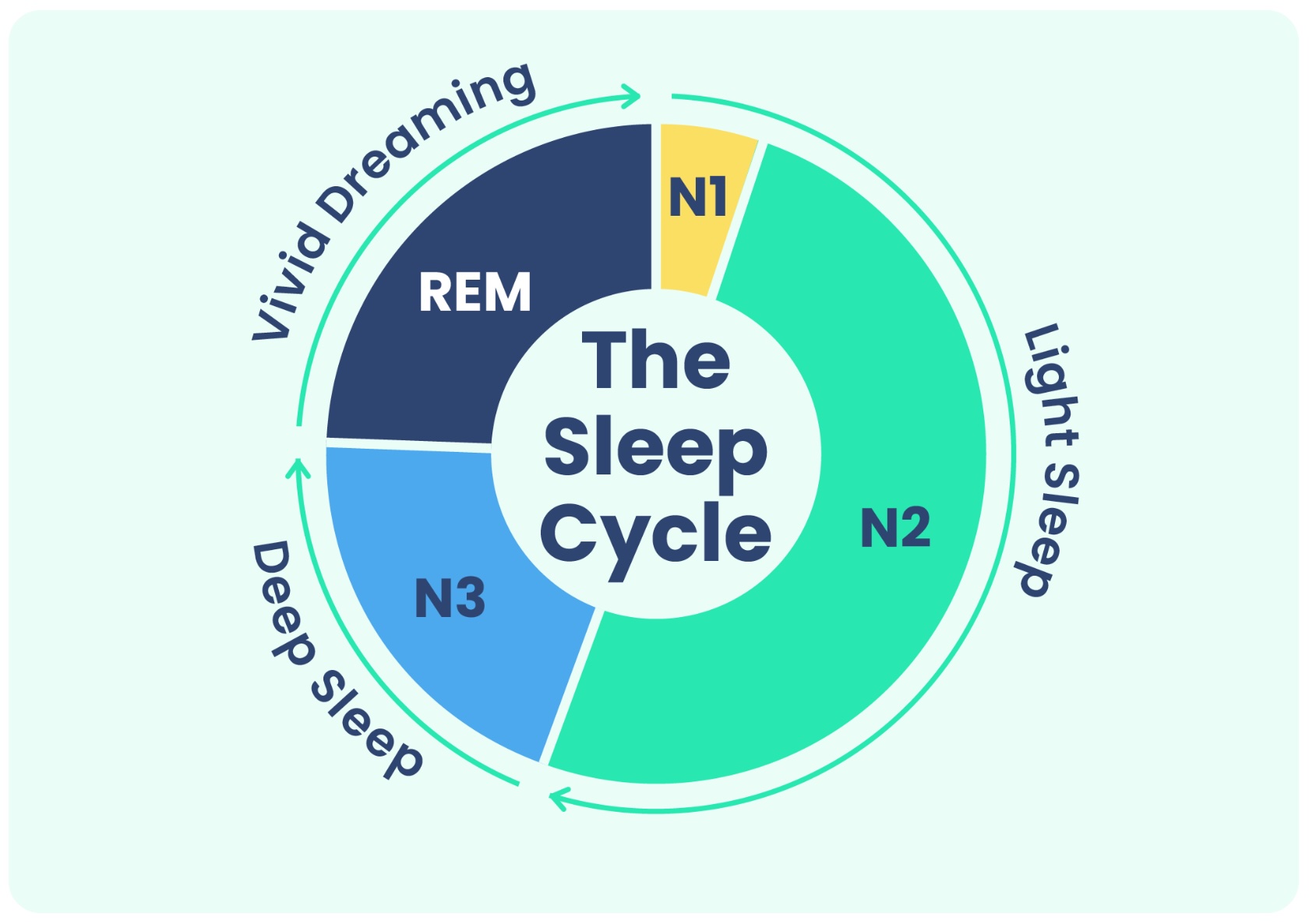 Illustration of sleep stage brain wave patterns showing REM and non-REM cycles