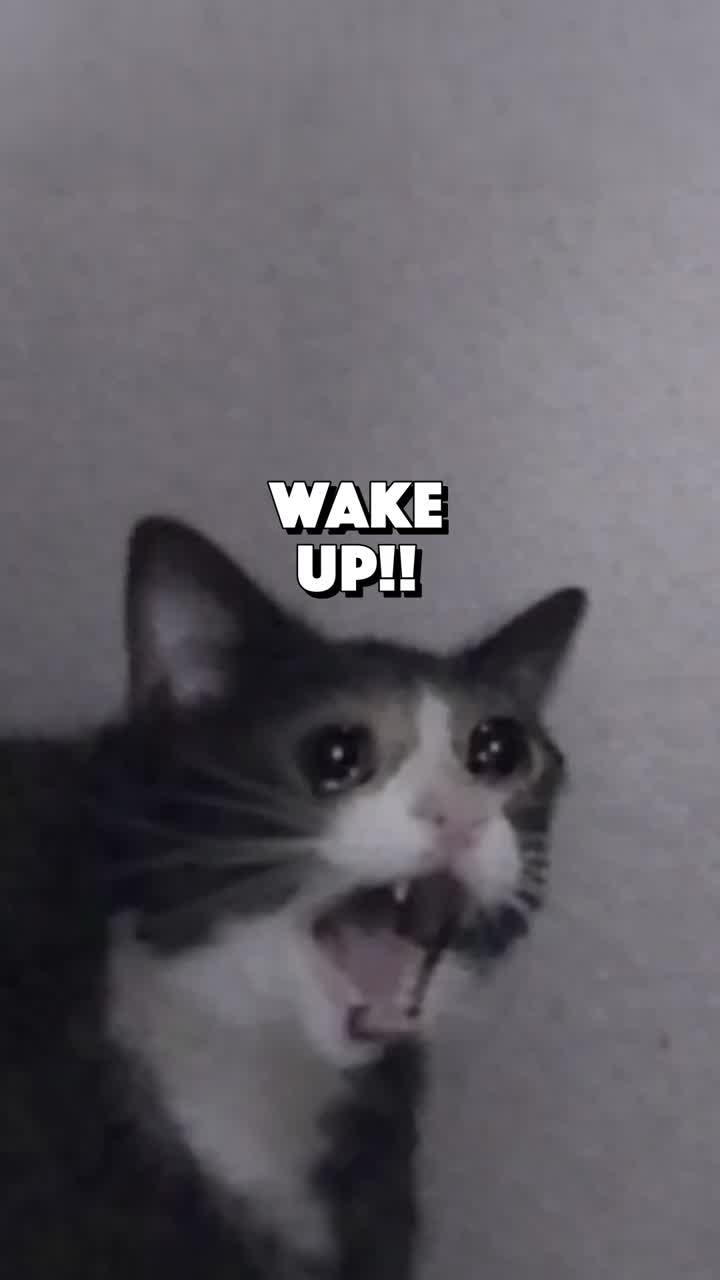 Wake Up Scream