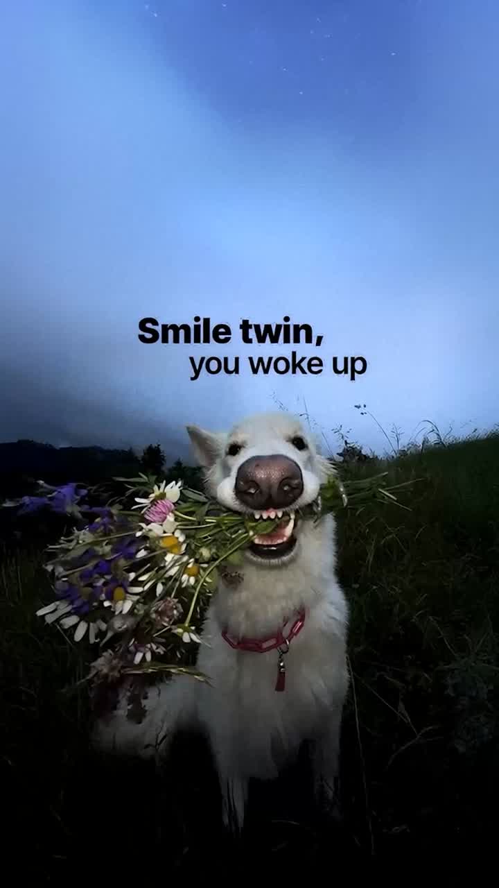 Wake Smile