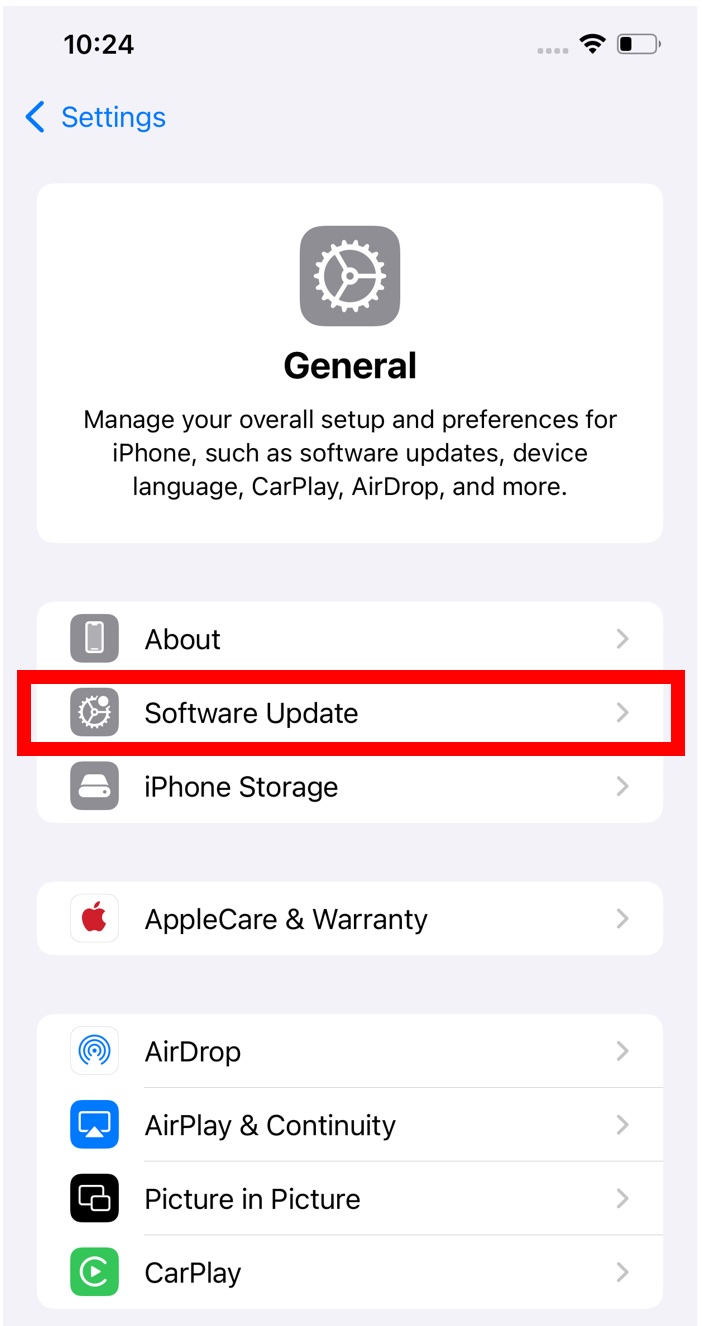 iPhone Software Update settings screen