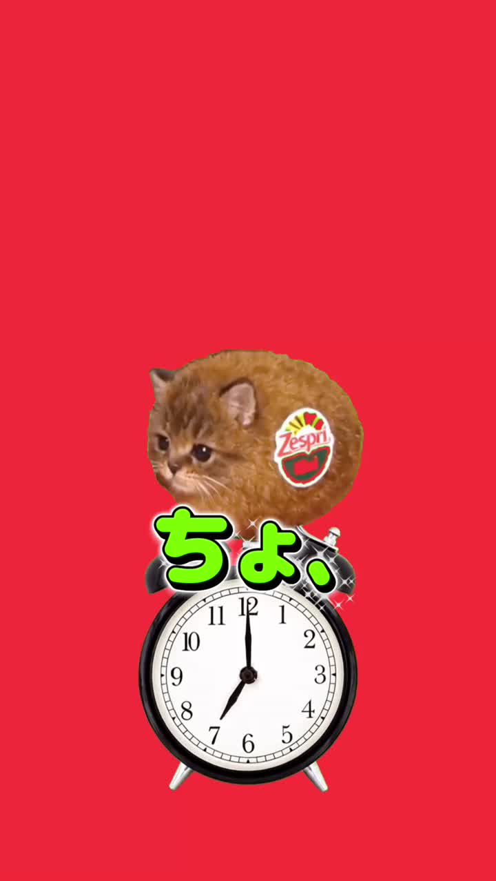 テスト期間のキウイ猫