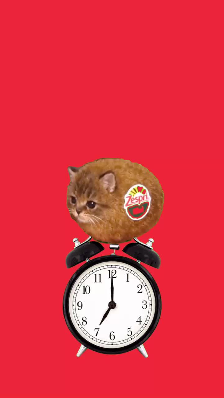Good Morning EIEIO Kiwicat