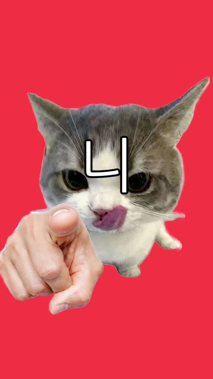 니시험이다