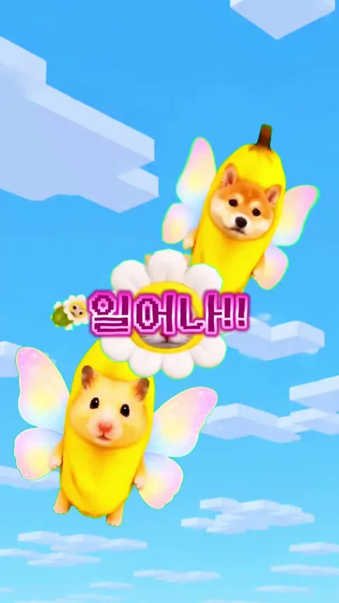 나비야