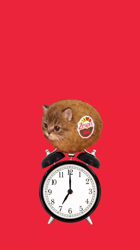 Good Morning EIEIO Kiwicat