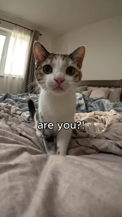 you are sleeping?