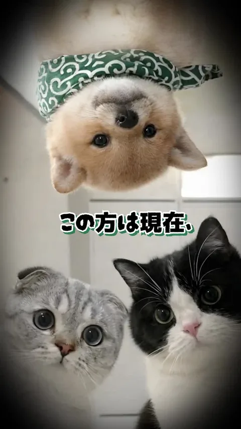 この方は寝ています