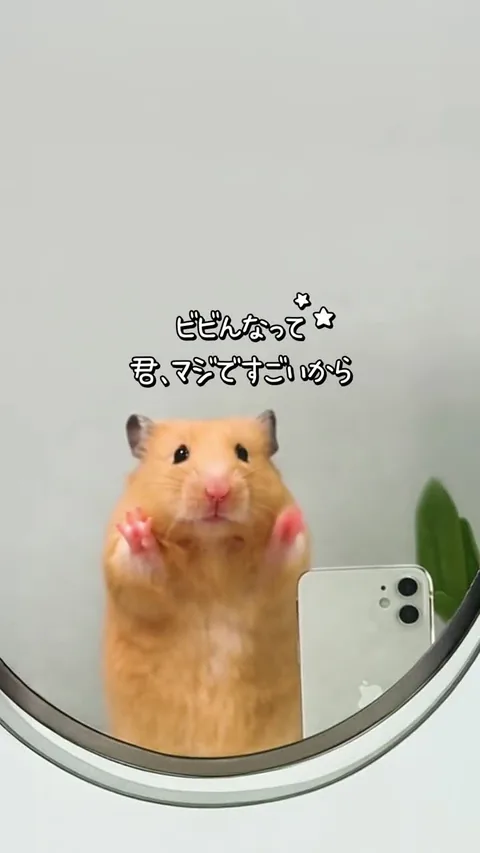 ビビるな