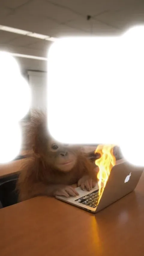 너 재수강할거야?