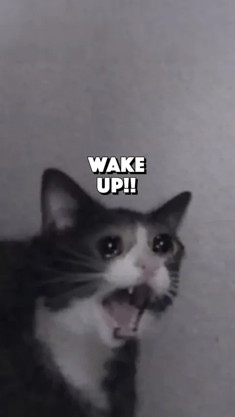 Wake Up Scream Alarm