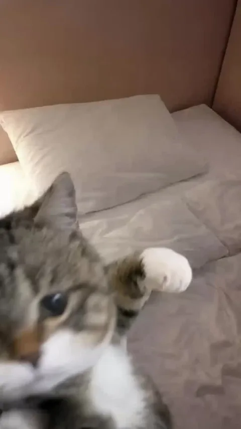 起きないでください
