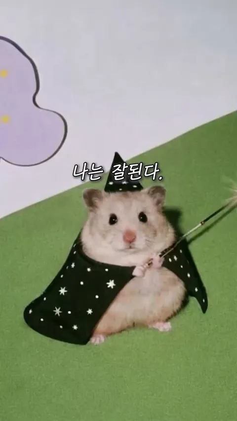 나는 잘된다