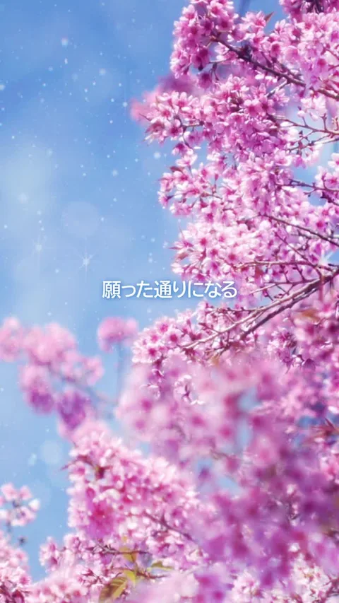 クラス替え幸運の音楽