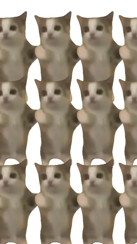 Cat Dance Alarm