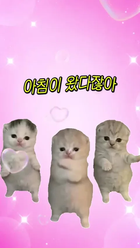 아침이 왔다잖아 [223.32(유동) 콜라보]