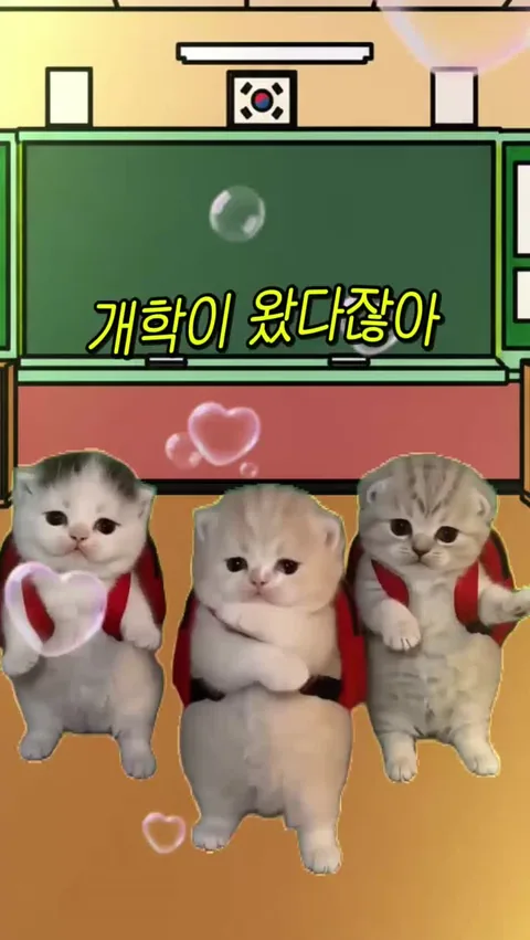 개학이 왔다잖아