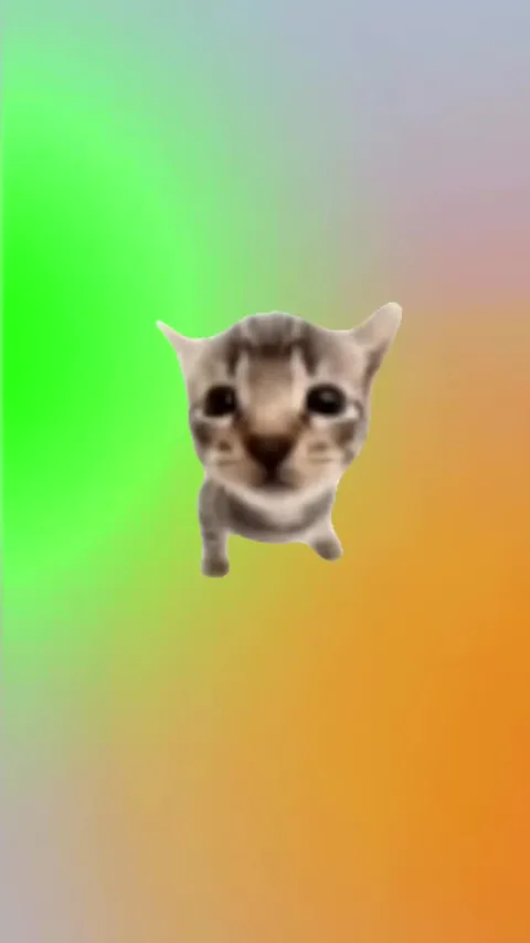 Meow Alarm