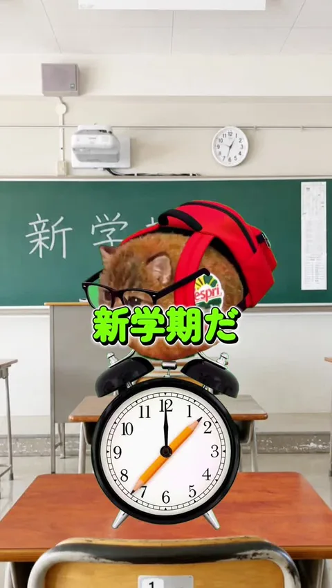新学期キウイ猫