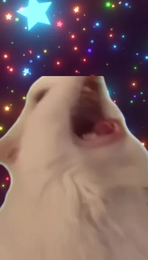 Screaming Cat