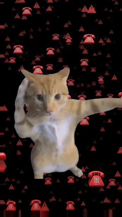 もしもし、朝だよ