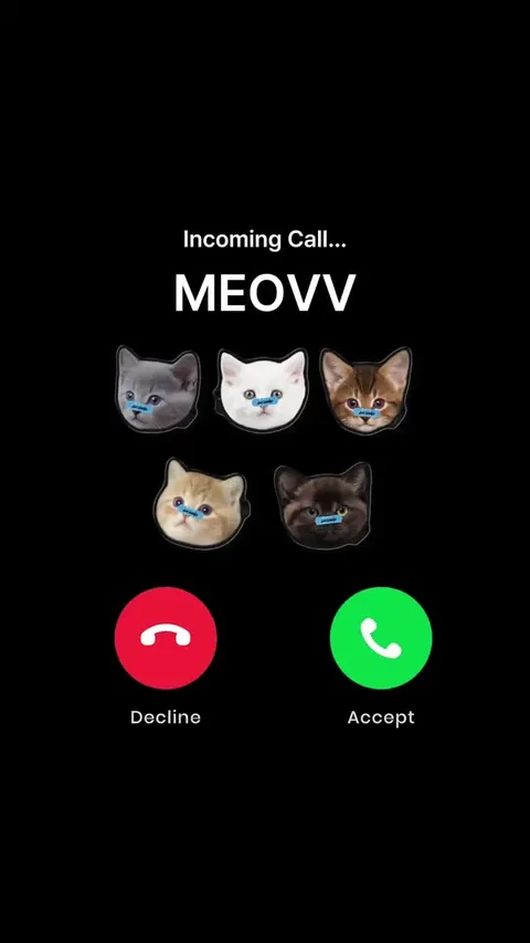 MEOVV Facetime