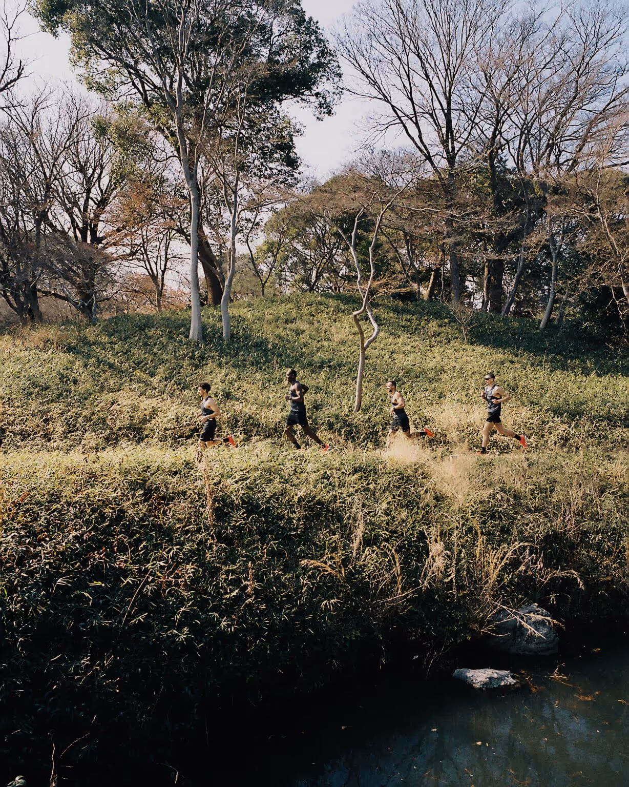 Five runners in athletic gear jog along a grassy path beside a stream in a wooded area with tall trees.