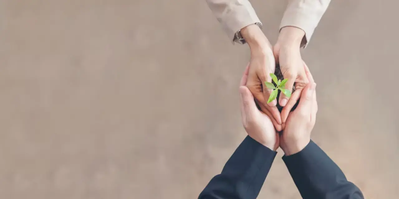 Two people clasping both hands and holding plant