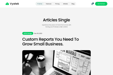 Webpage titled 'Articles Single' about custom reports for small business with laptop and coffee photo.