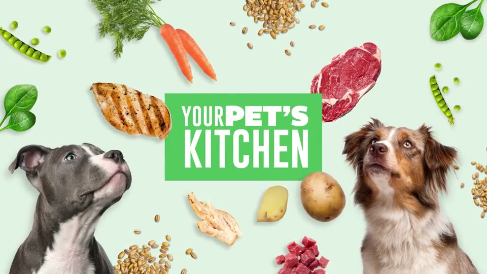 Your Pet’s Kitchen