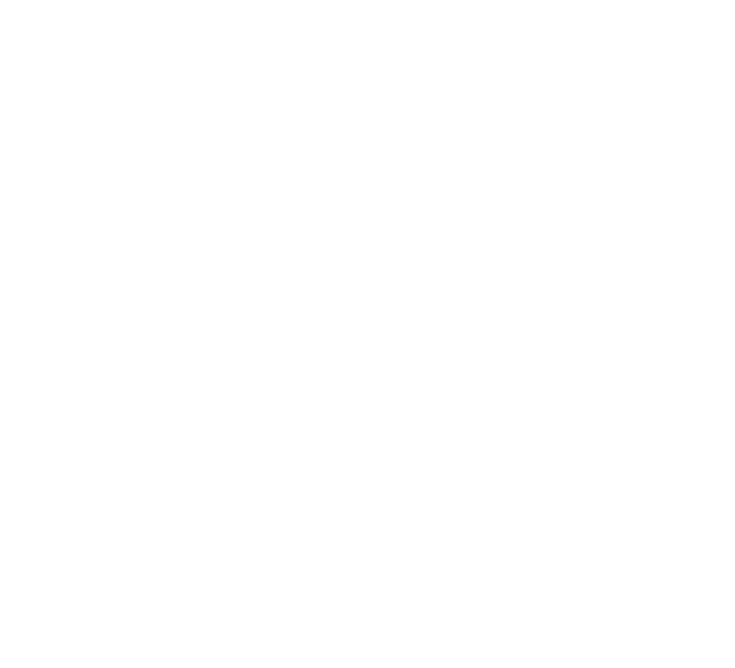 Marktrevolution Schweiz Logo