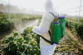 Conventional cotton is one of the most pesticide-intensive crops on the planet