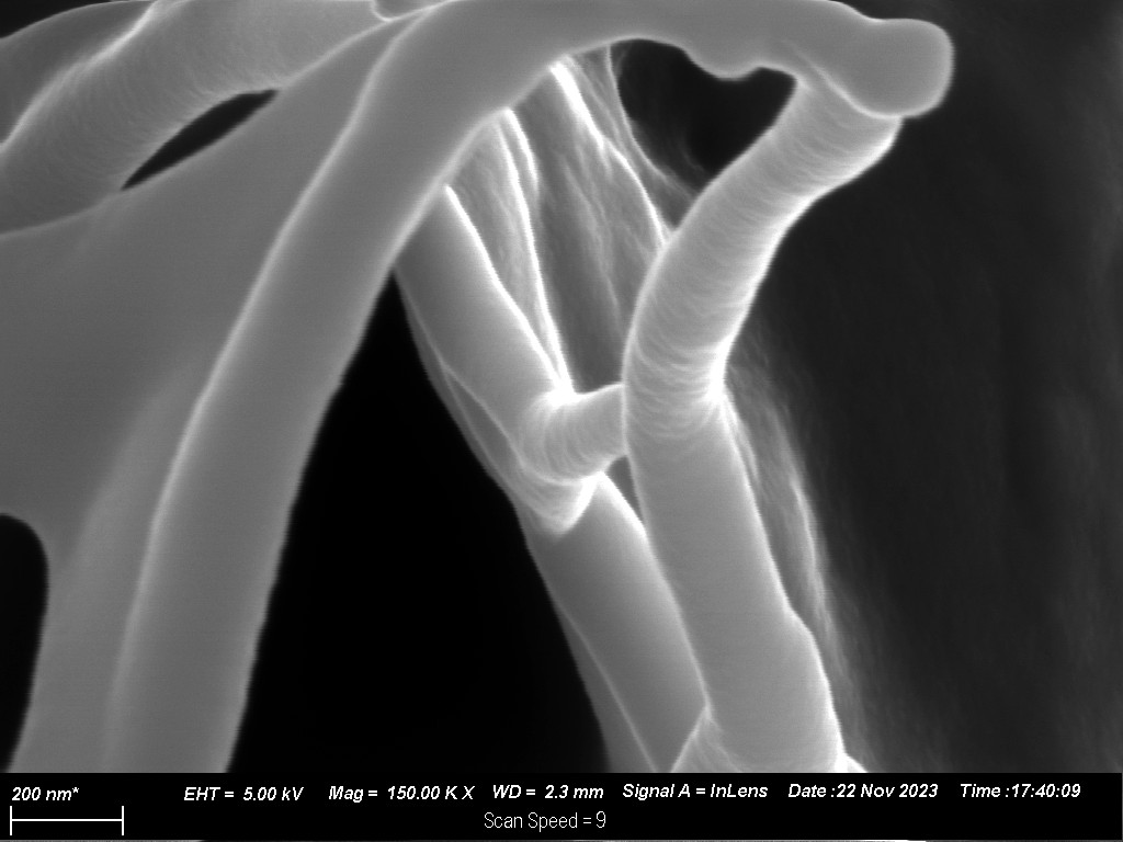 Collagen Fiber 150,000×