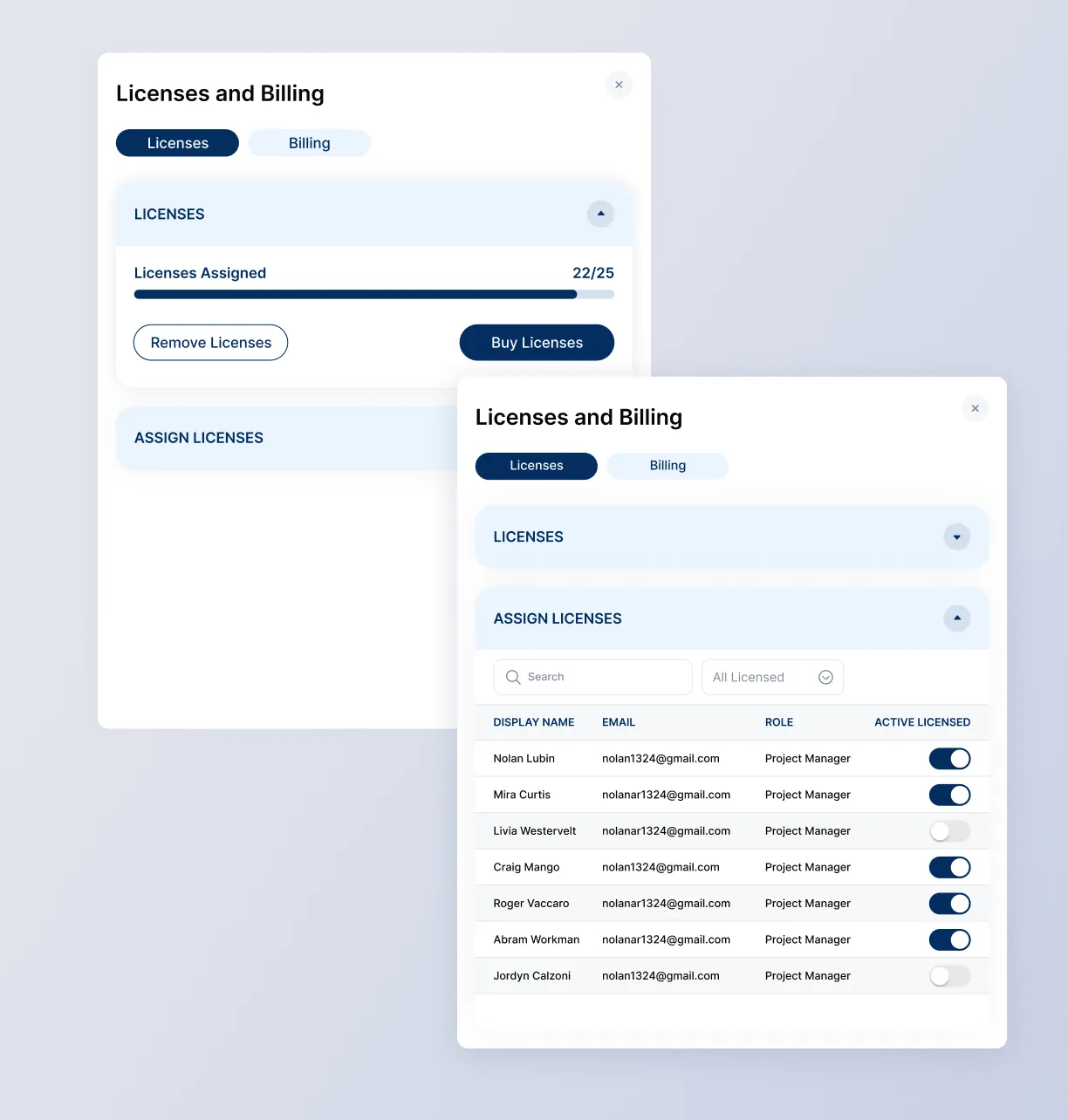 Assigned licenses and team management with toggle options.