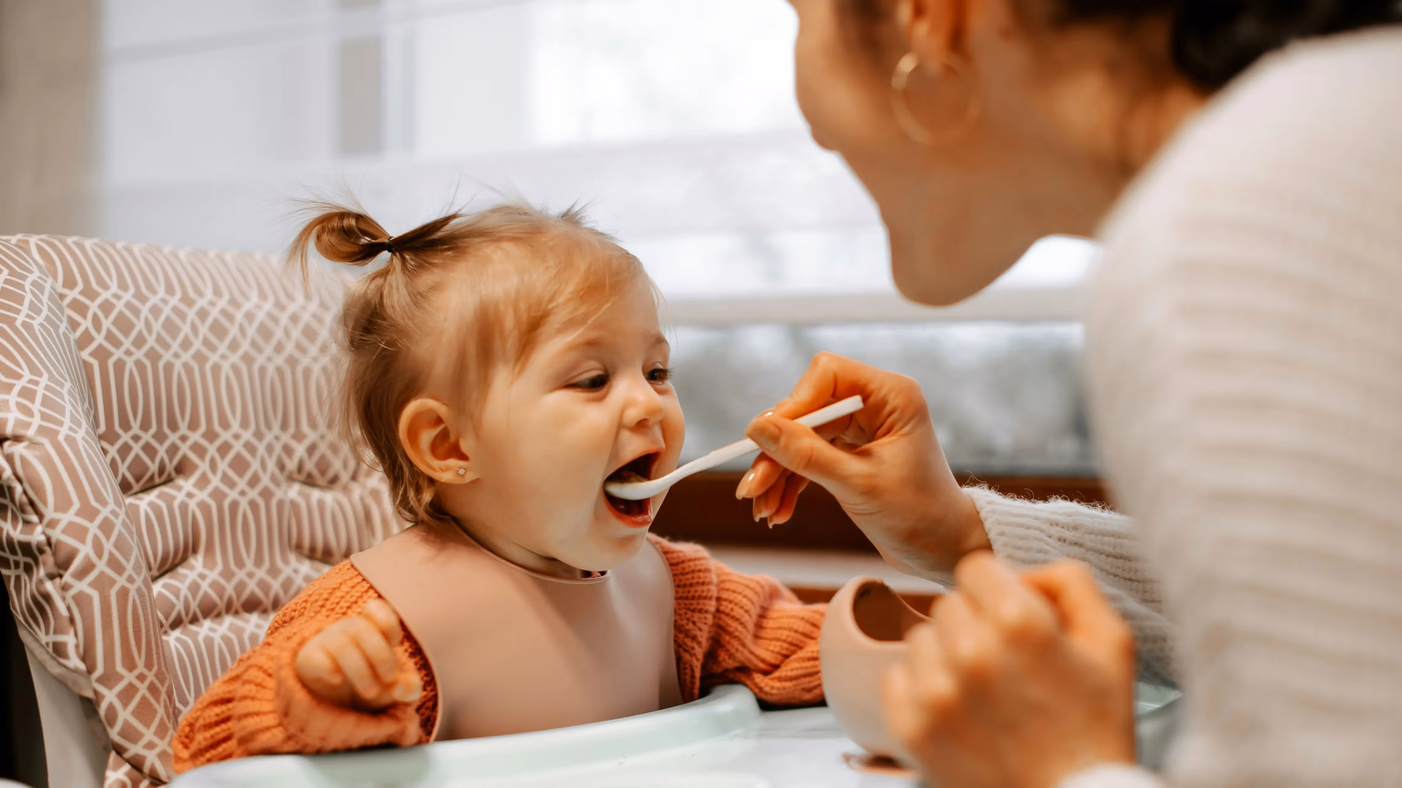 Alimentación complementaria