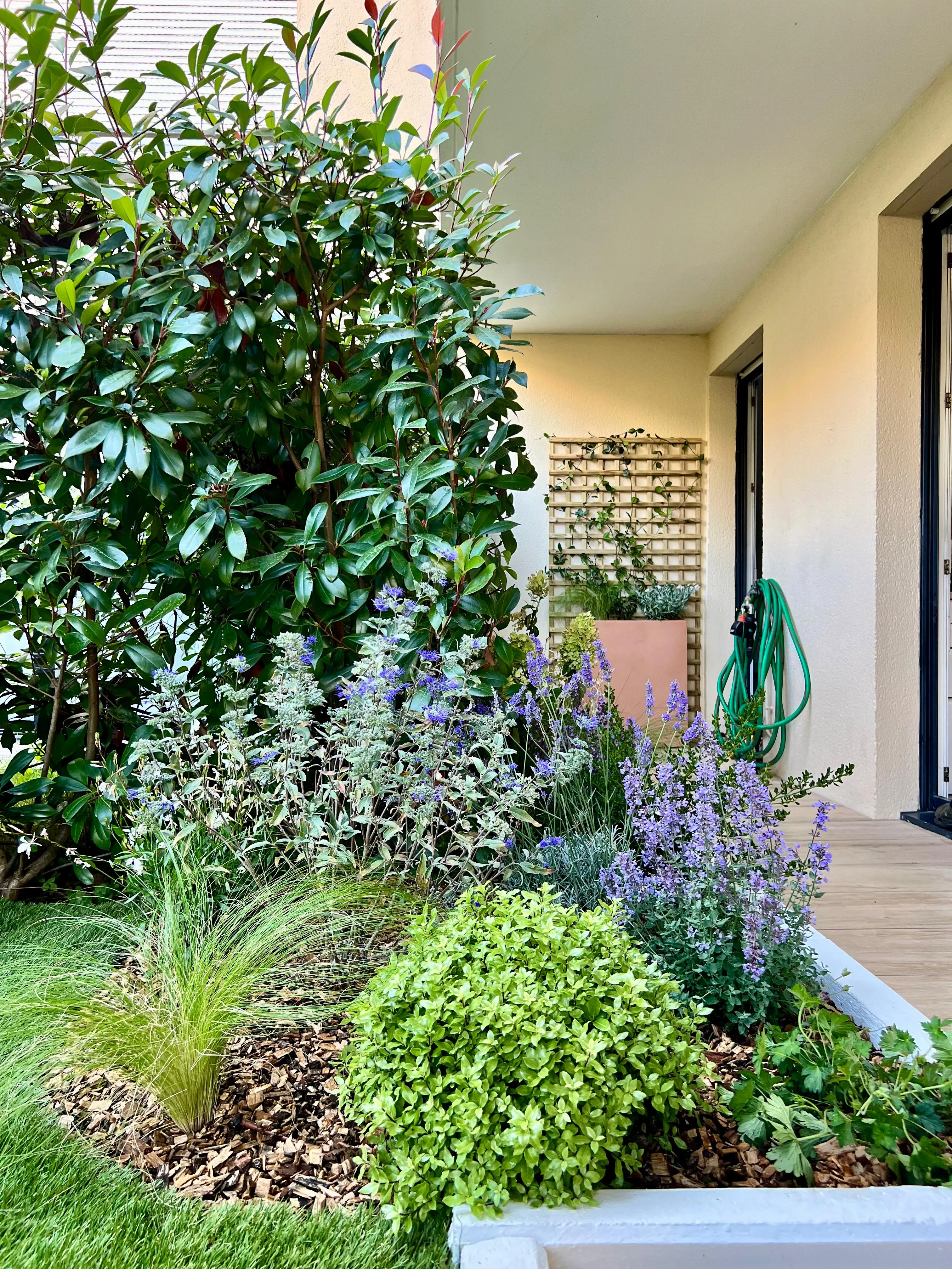 Photo d'un massif de végétaux créé par paysagiste à Paris : Agave Paysage.