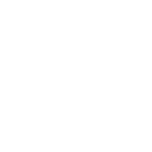 Group of people icon