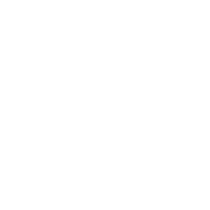 Paper with graph and checkmark icon