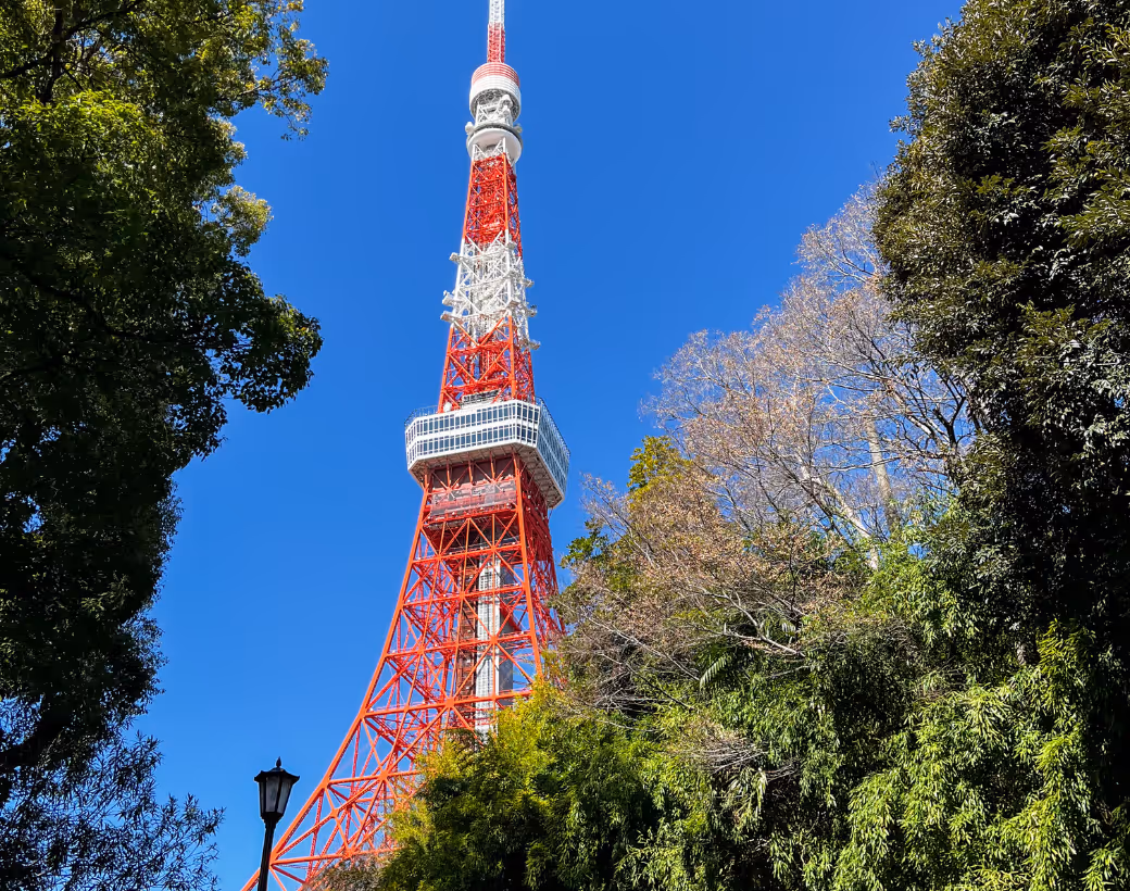 Photo of the Tokyo Tower sorrounded by green trees