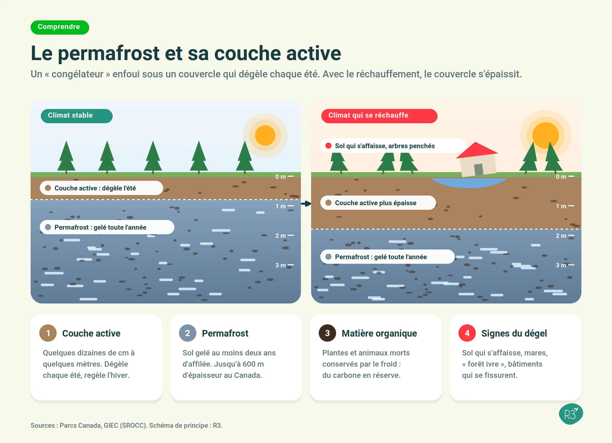 Coupe d'un sol arctique montrant la couche active qui dégèle chaque été au-dessus du permafrost gelé en profondeur, et son épaississement avec le réchauffement.