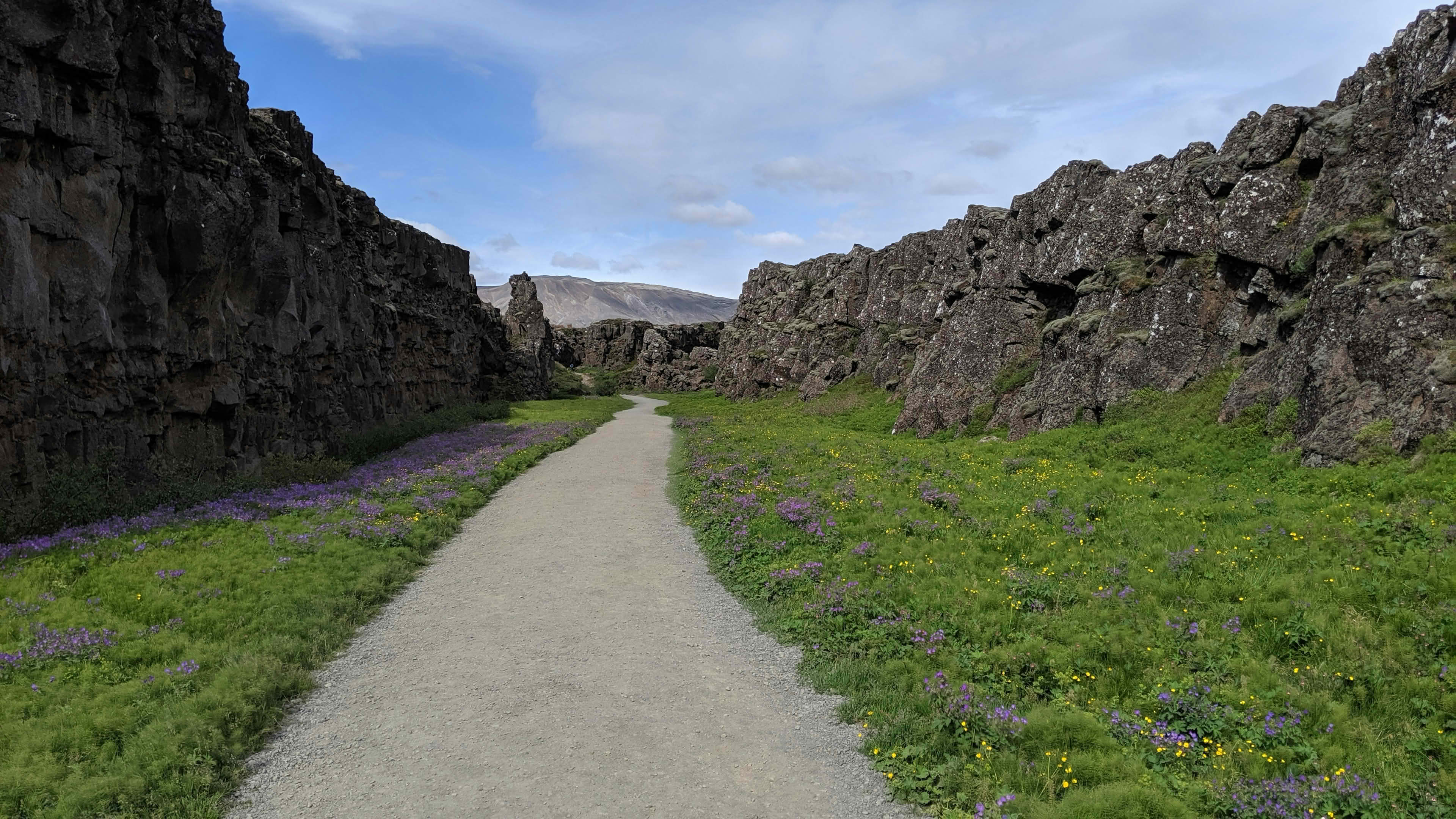 Immersive Experiences in Reykjavik: 2026 Guide
