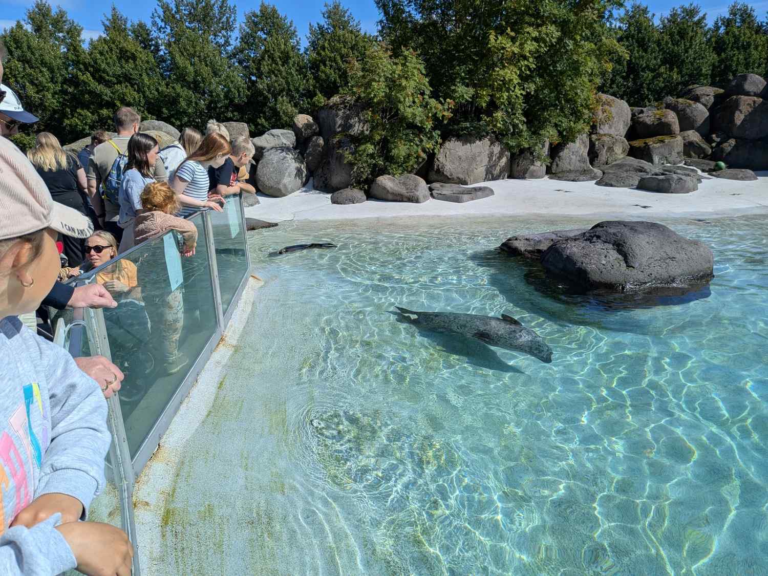 Best Family Outings in Reykjavik: 2026 Guide